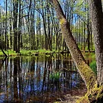 Na Wzgorzu - Nr 1 Prázdninový dům *