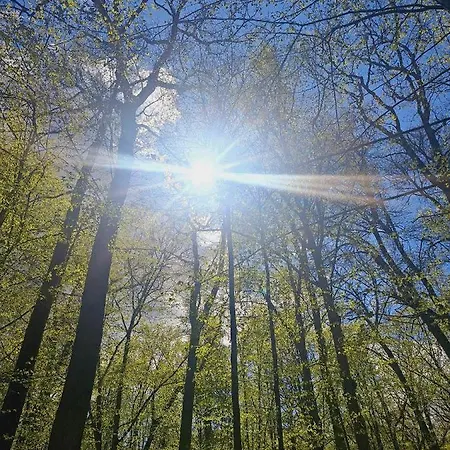 Na Wzgorzu - Nr 1 Mrągowo