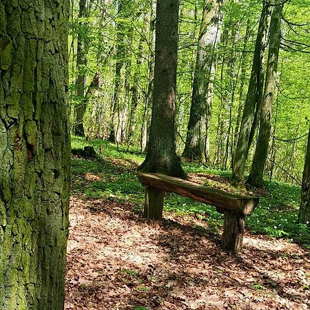 Na Wzgorzu - Nr 1 Mragowo