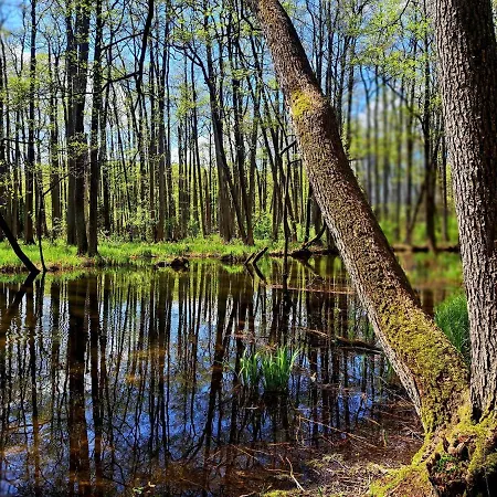 Na Wzgórzu - Nr 1 Casa de Férias *