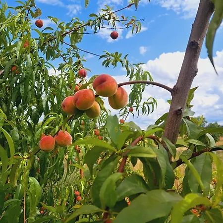 Na Wzgorzu - Nr 1 * Mrągowo