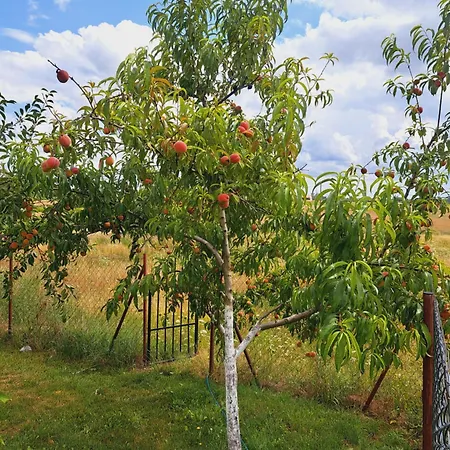 Na Wzgorzu - Nr 1 Prázdninový dům