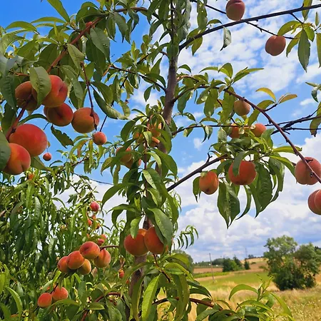 Na Wzgorzu - Nr 1 * Mrągowo
