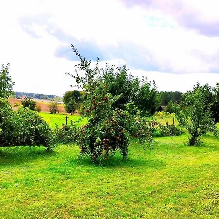 Na Wzgorzu - Nr 1 *