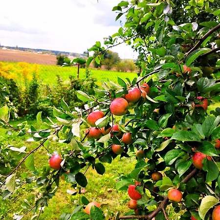 Na Wzgorzu - Nr 1 Ferienhaus *